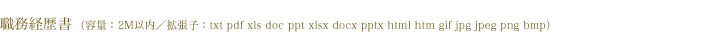 職務経歴書　拡張子：txt pdf xls doc ppt xlsx docx pptx html htm gif jpg jpeg png bmp　容量：2M以内