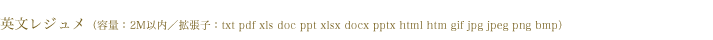 英文レジュメ　拡張子：txt pdf xls doc ppt xlsx docx pptx html htm gif jpg jpeg png bmp　容量：2M以内